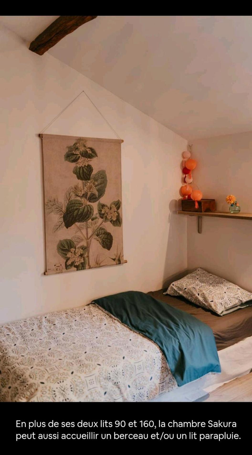 Cocon Cosy Et Deconnecte 30Min Puy Du Fou - 2 Chambres Et 1 Canape Lit Bazoges-en-Pareds Dış mekan fotoğraf
